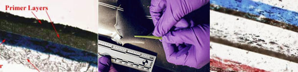 Fiber examination sample